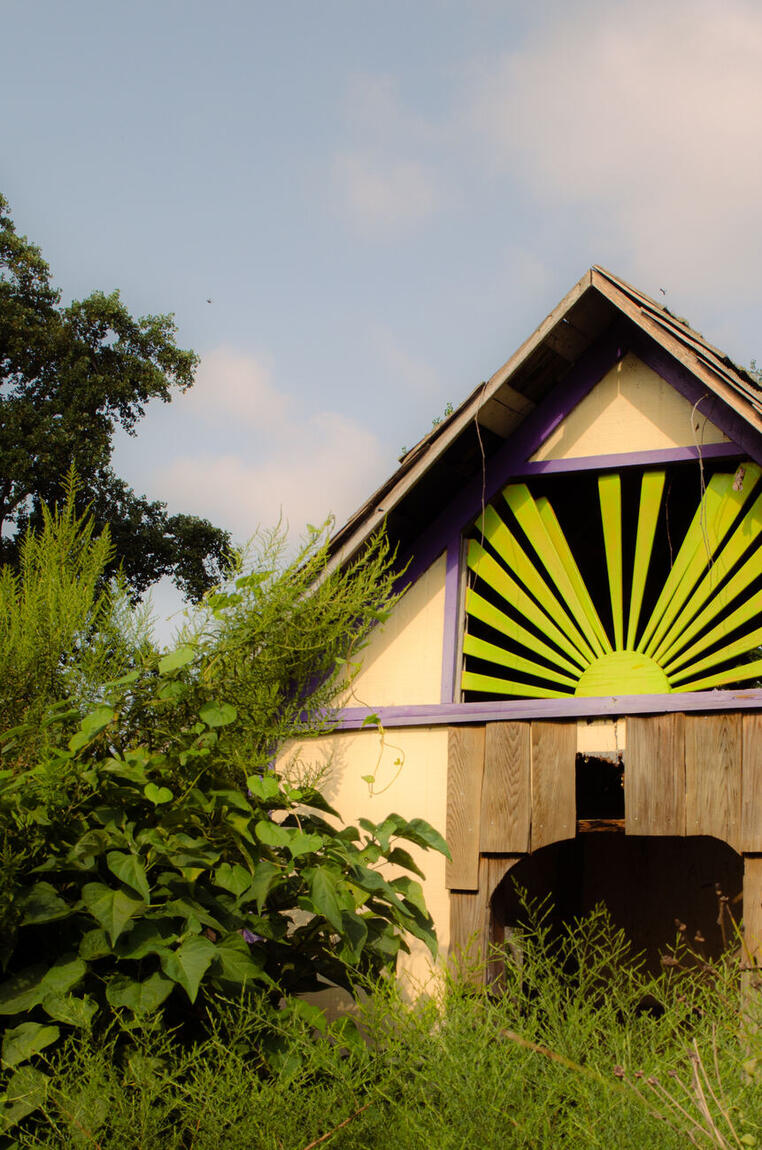 A barn gable painted with a purple and yellow sunburst, half-swallowed by green